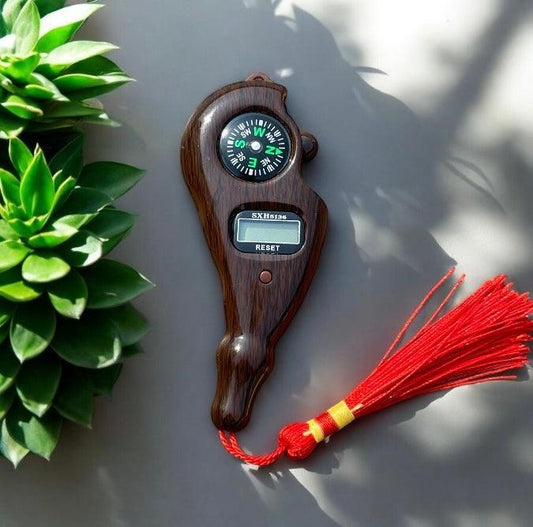 Digital Finger Counter With Compass